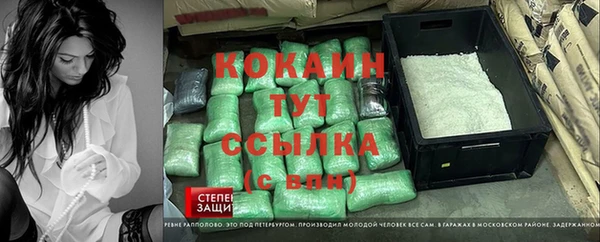 винт Алексин