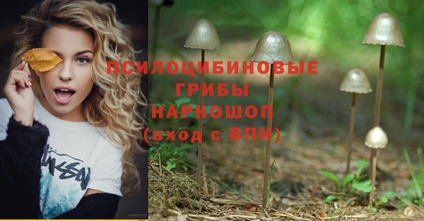 винт Алексин