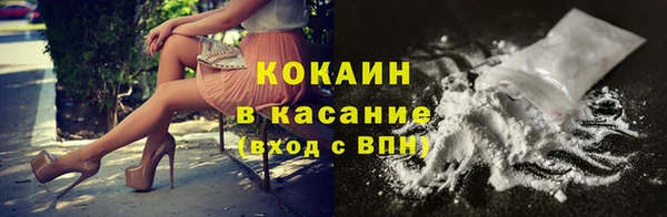 твердый Алексеевка