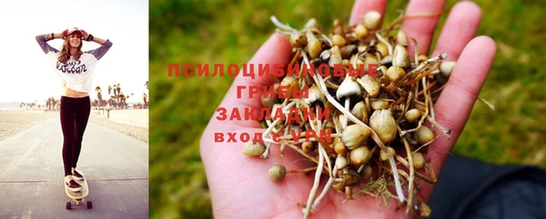 твердый Алексеевка